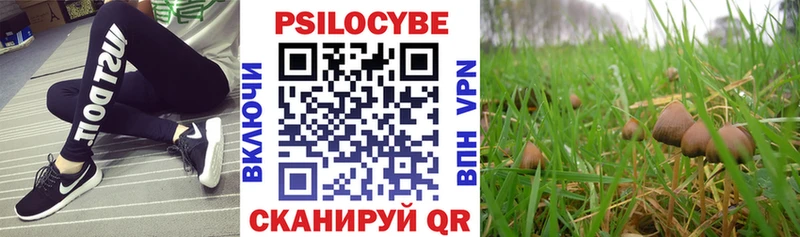 Псилоцибиновые грибы прущие грибы  Дмитров 